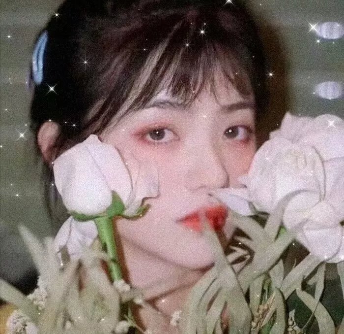 天才进化论第二季封面
